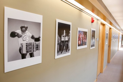 Art at Watson posters