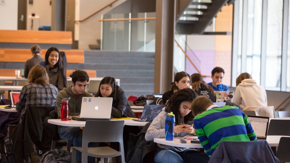 students studying in library