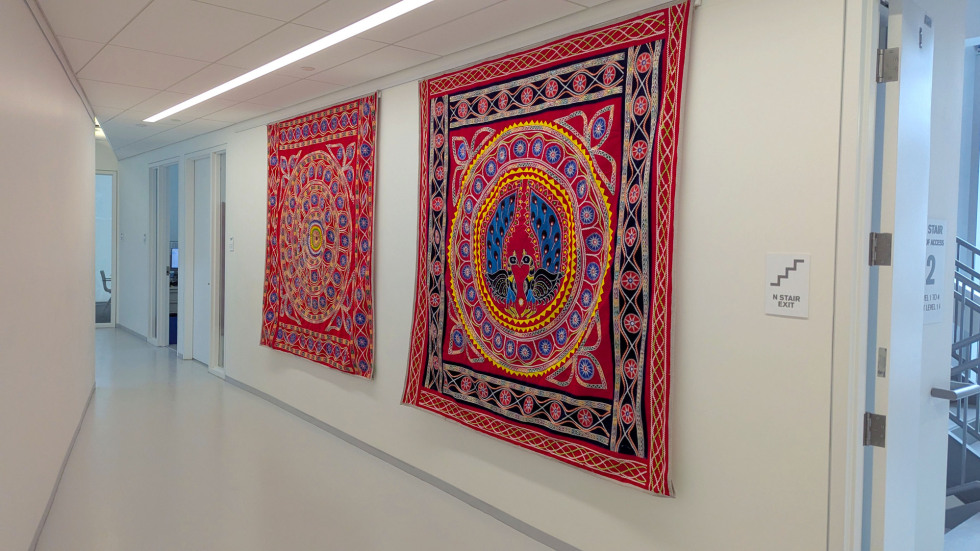 Odisha Illuminated exhibition