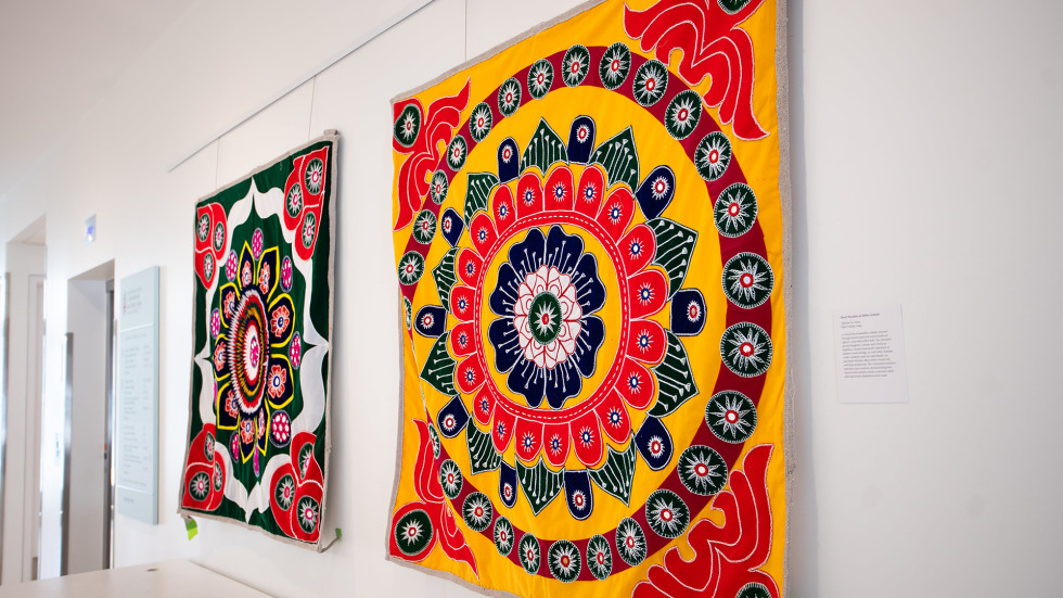 Odisha Illuminated exhibit