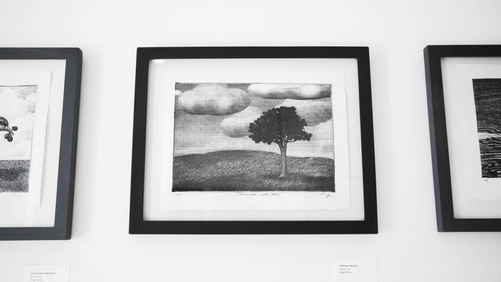 Framed and mounted prints by regional artist Andrew Nixon 